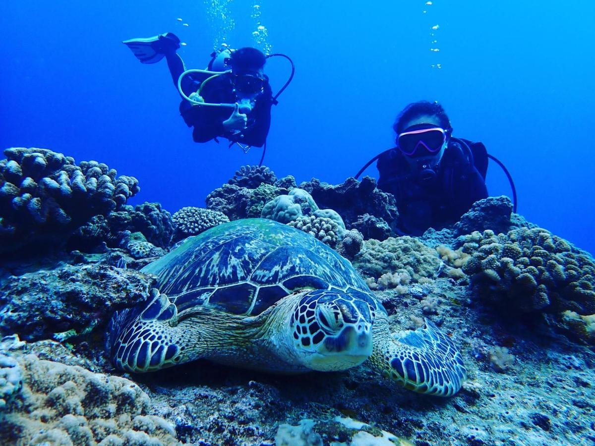 Green Island Good Sound Экстерьер фото